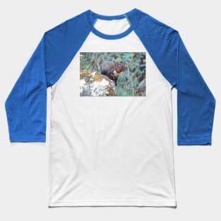 Pine Marten Baseball T-Shirt